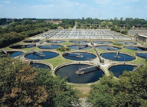 �о�֤���ֲ��������ˮ�����������ҩ����